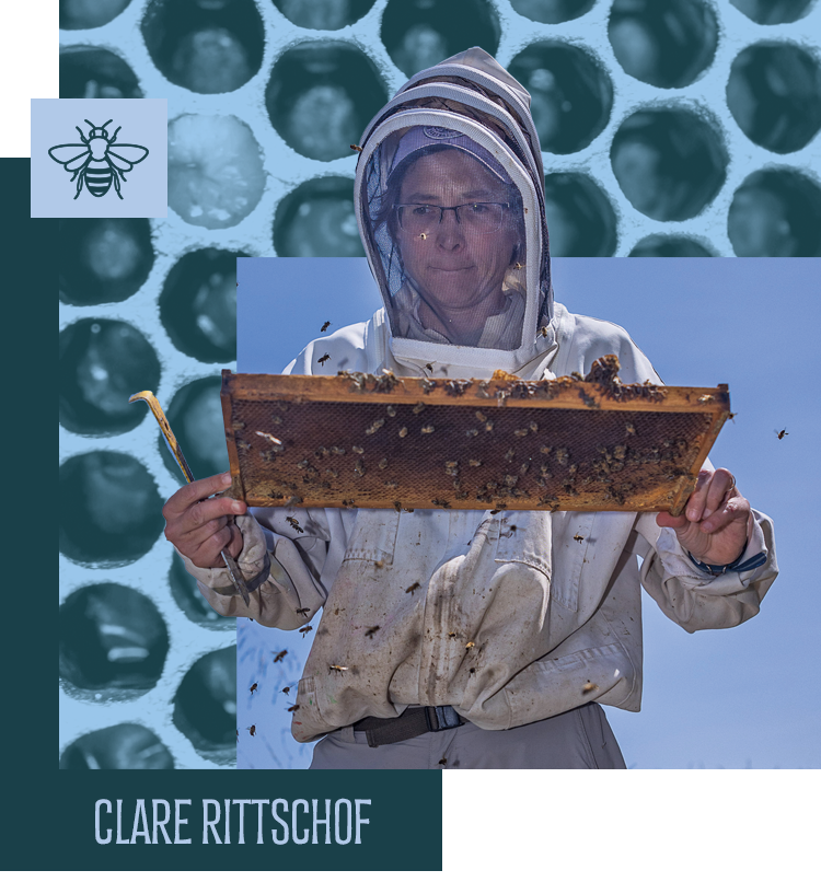 Clare Rittschof holding a slab of bees in her bee suit
