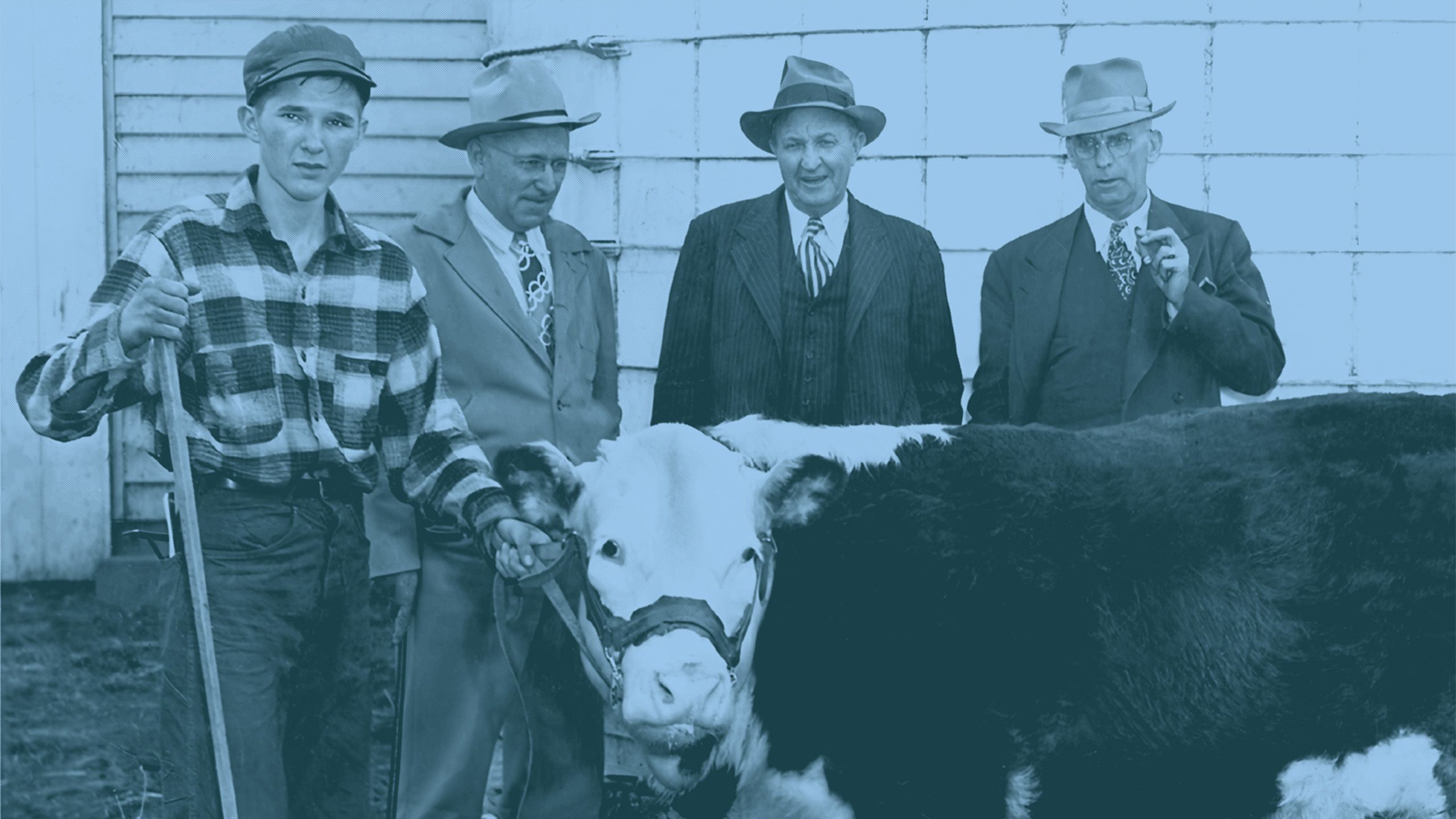 Image of 2 retro cars in a driveway of a Palm Springs house