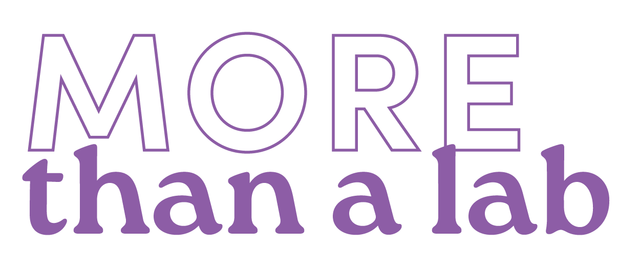 more than a lab