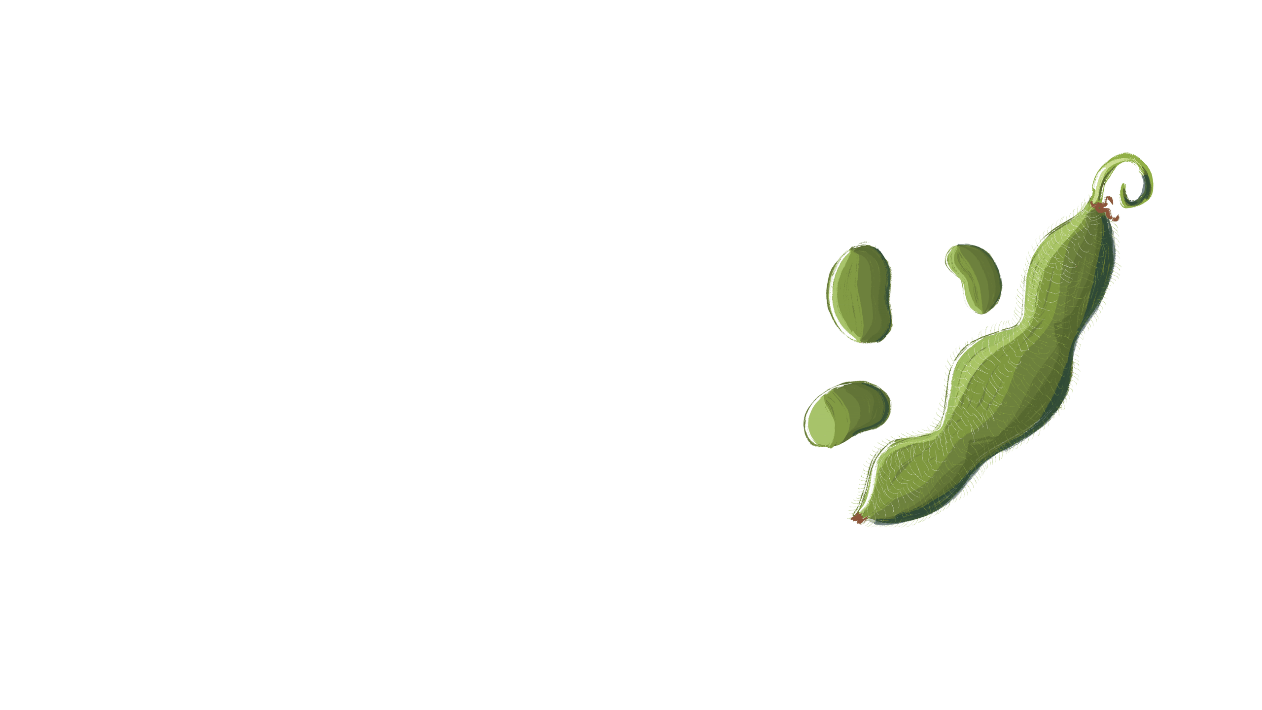 gif of a soybean pod and 3 soybeans
